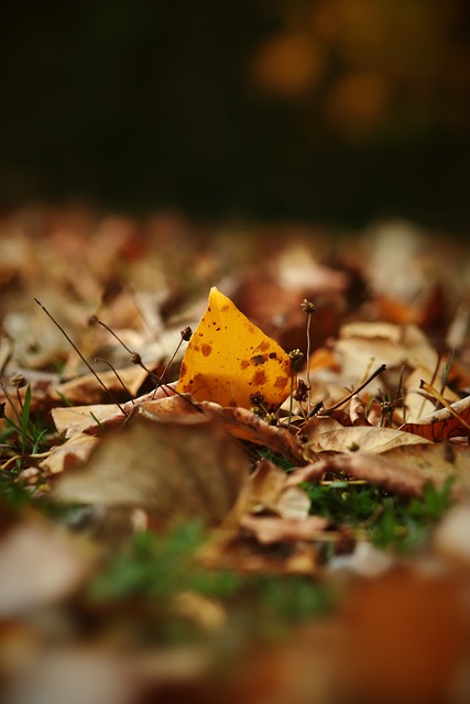 博格自言过早退役很愚蠢，梅总前教练找到下家，李娜出战表演赛