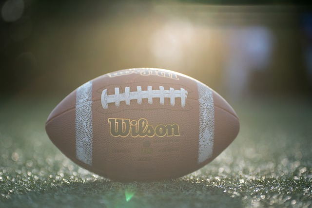 前法国主帅多梅内克：谢尔基没机会进法国队世界杯名单